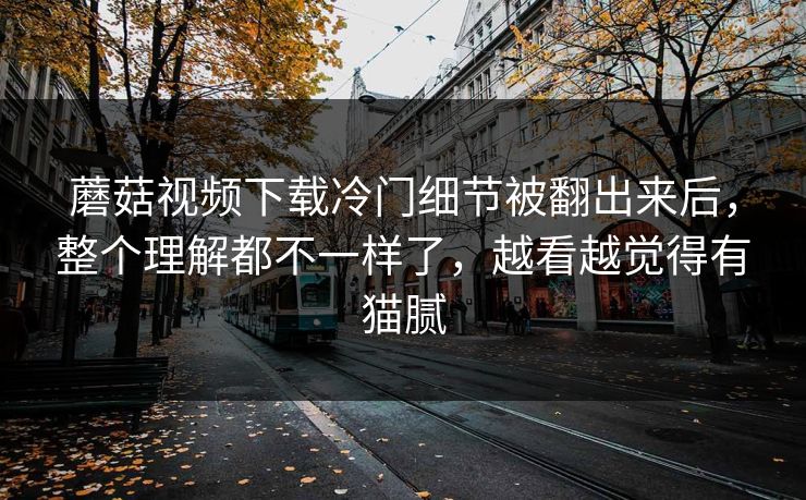 蘑菇视频下载冷门细节被翻出来后，整个理解都不一样了，越看越觉得有猫腻