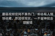 蘑菇视频官网不算热门，却总有人悄悄收藏，原因很现实，一不留神就会理解错