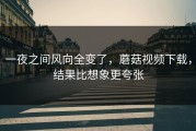 一夜之间风向全变了，蘑菇视频下载，结果比想象更夸张