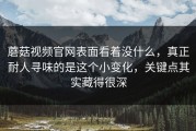 蘑菇视频官网表面看着没什么，真正耐人寻味的是这个小变化，关键点其实藏得很深
