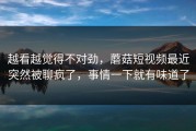 越看越觉得不对劲，蘑菇短视频最近突然被聊疯了，事情一下就有味道了