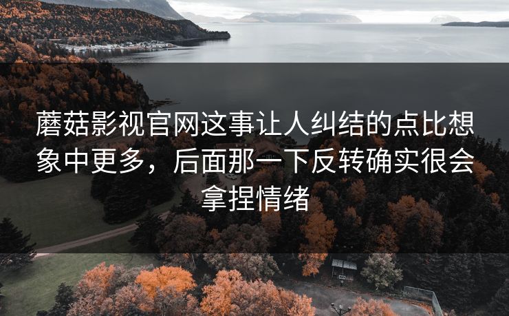 蘑菇影视官网这事让人纠结的点比想象中更多，后面那一下反转确实很会拿捏情绪