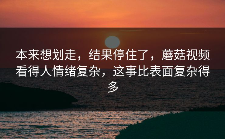 本来想划走，结果停住了，蘑菇视频看得人情绪复杂，这事比表面复杂得多