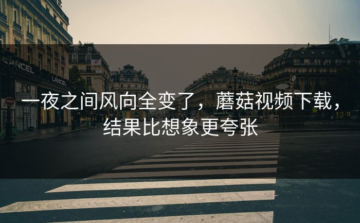 一夜之间风向全变了，蘑菇视频下载，结果比想象更夸张