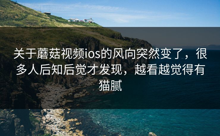关于蘑菇视频ios的风向突然变了，很多人后知后觉才发现，越看越觉得有猫腻