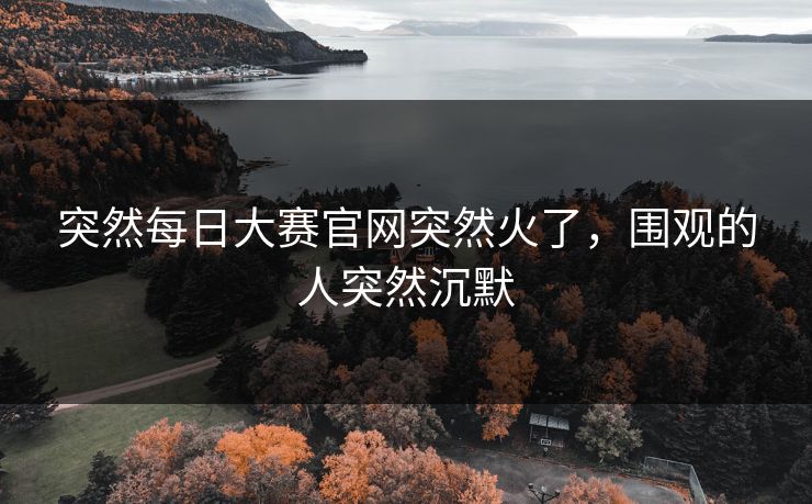 突然每日大赛官网突然火了，围观的人突然沉默
