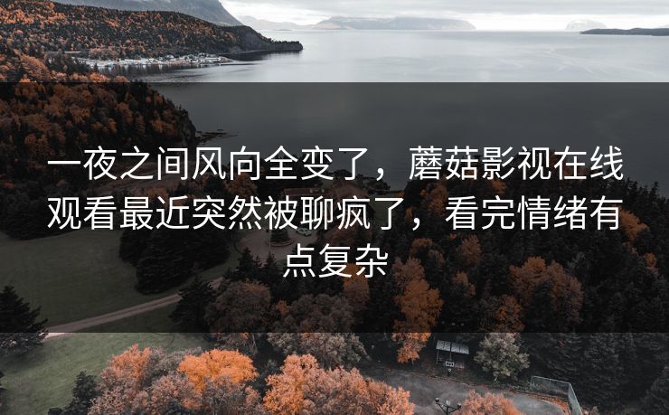 一夜之间风向全变了,蘑菇影视在线观看最近突然被聊疯了,看完情绪有点复杂 一夜之间风向全变了,蘑菇影视在线观看最近突然被聊疯了,看完情绪有点复杂