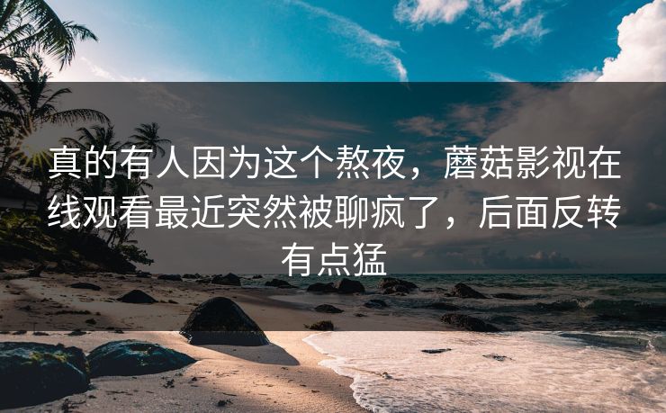 真的有人因为这个熬夜，蘑菇影视在线观看最近突然被聊疯了，后面反转有点猛
