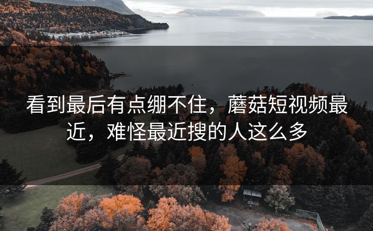看到最后有点绷不住,蘑菇短视频最近,难怪最近搜的人这么多 看到最后有点绷不住,蘑菇短视频最近,难怪最近搜的人这么多