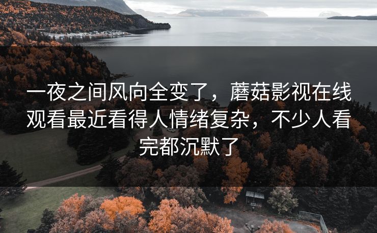 一夜之间风向全变了，蘑菇影视在线观看最近看得人情绪复杂，不少人看完都沉默了