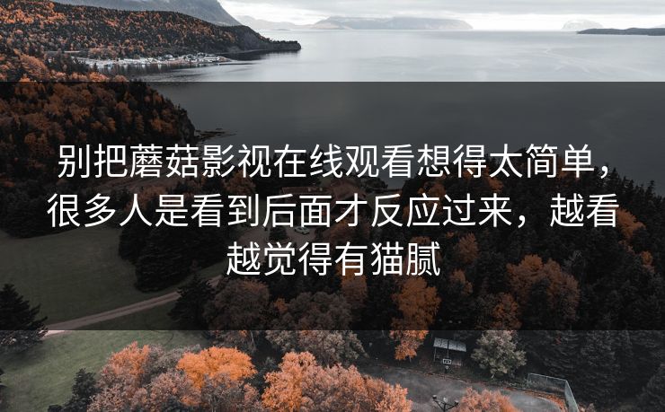 别把蘑菇影视在线观看想得太简单，很多人是看到后面才反应过来，越看越觉得有猫腻