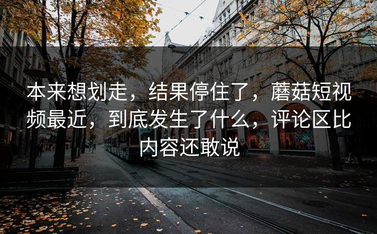 本来想划走,结果停住了,蘑菇短视频最近,到底发生了什么,评论区比内容还敢说 本来想划走,结果停住了,蘑菇短视频最近,到底发生了什么,评论区比内容还敢说