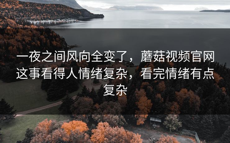 一夜之间风向全变了,蘑菇视频官网这事看得人情绪复杂,看完情绪有点复杂 一夜之间风向全变了,蘑菇视频官网这事看得人情绪复杂,看完情绪有点复杂