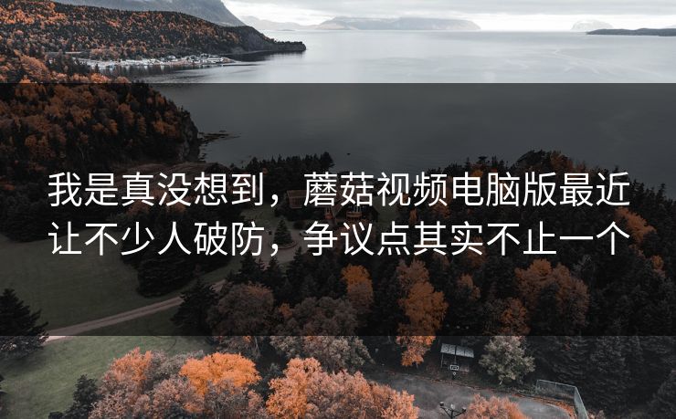 我是真没想到,蘑菇视频电脑版最近让不少人破防,争议点其实不止一个 我是真没想到,蘑菇视频电脑版最近让不少人破防,争议点其实不止一个
