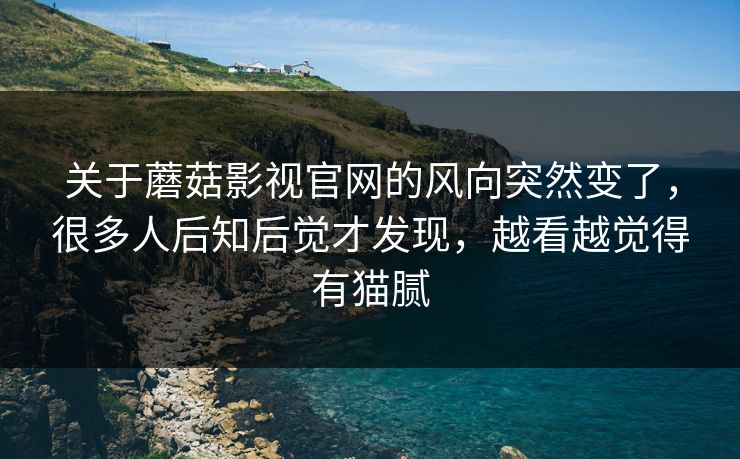 关于蘑菇影视官网的风向突然变了，很多人后知后觉才发现，越看越觉得有猫腻