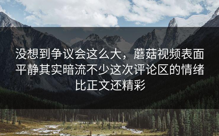 没想到争议会这么大，蘑菇视频表面平静其实暗流不少这次评论区的情绪比正文还精彩